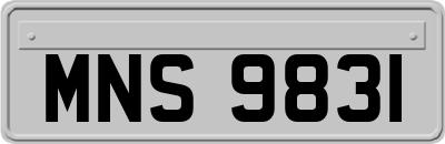 MNS9831