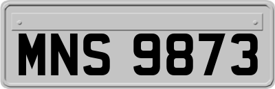 MNS9873