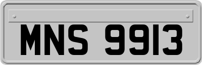 MNS9913
