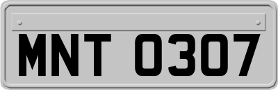 MNT0307