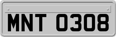 MNT0308