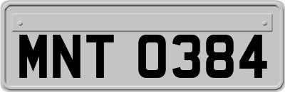 MNT0384