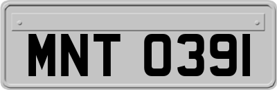 MNT0391