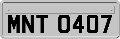 MNT0407