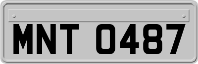MNT0487