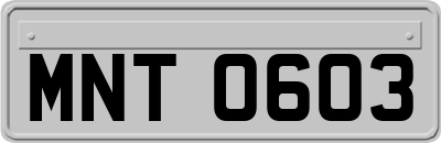 MNT0603