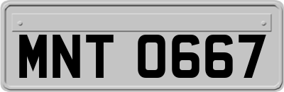 MNT0667