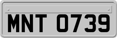 MNT0739