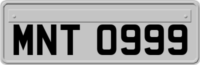 MNT0999