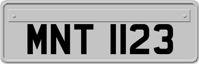 MNT1123