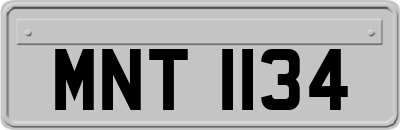MNT1134