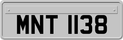 MNT1138