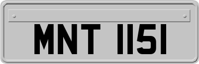 MNT1151