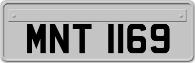 MNT1169