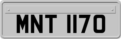 MNT1170