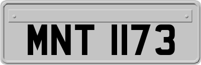 MNT1173
