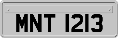 MNT1213