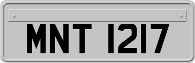 MNT1217