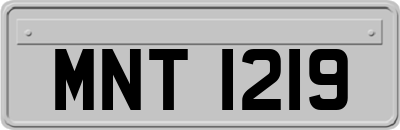 MNT1219