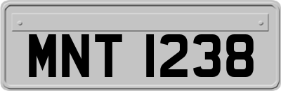 MNT1238