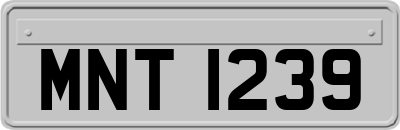 MNT1239