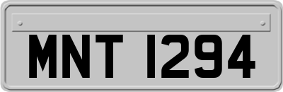 MNT1294