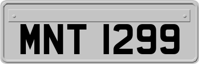 MNT1299