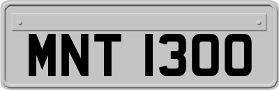 MNT1300