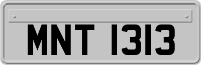 MNT1313