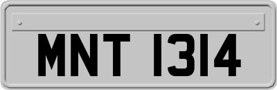 MNT1314