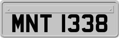 MNT1338