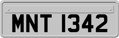 MNT1342