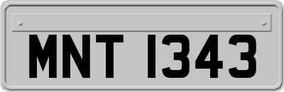 MNT1343