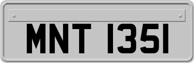 MNT1351