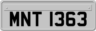 MNT1363