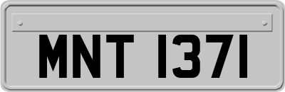 MNT1371