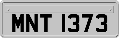 MNT1373
