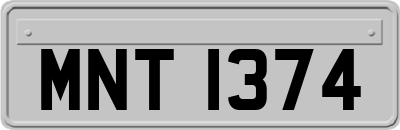 MNT1374