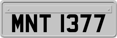 MNT1377