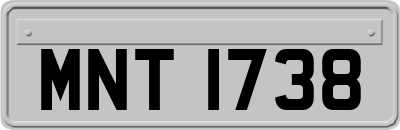 MNT1738