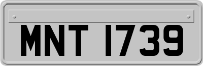 MNT1739