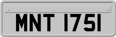 MNT1751