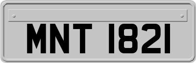MNT1821