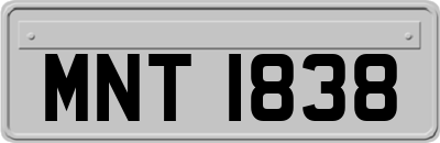 MNT1838
