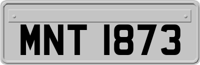 MNT1873