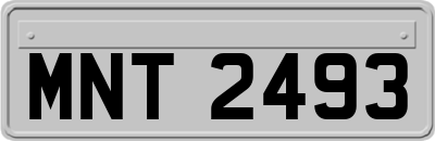 MNT2493
