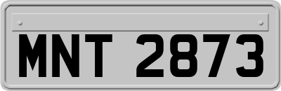 MNT2873