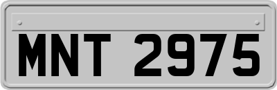 MNT2975