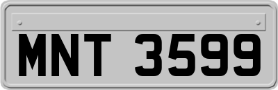 MNT3599