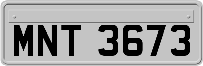 MNT3673